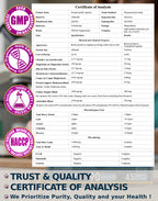 Saw Palmetto for Men