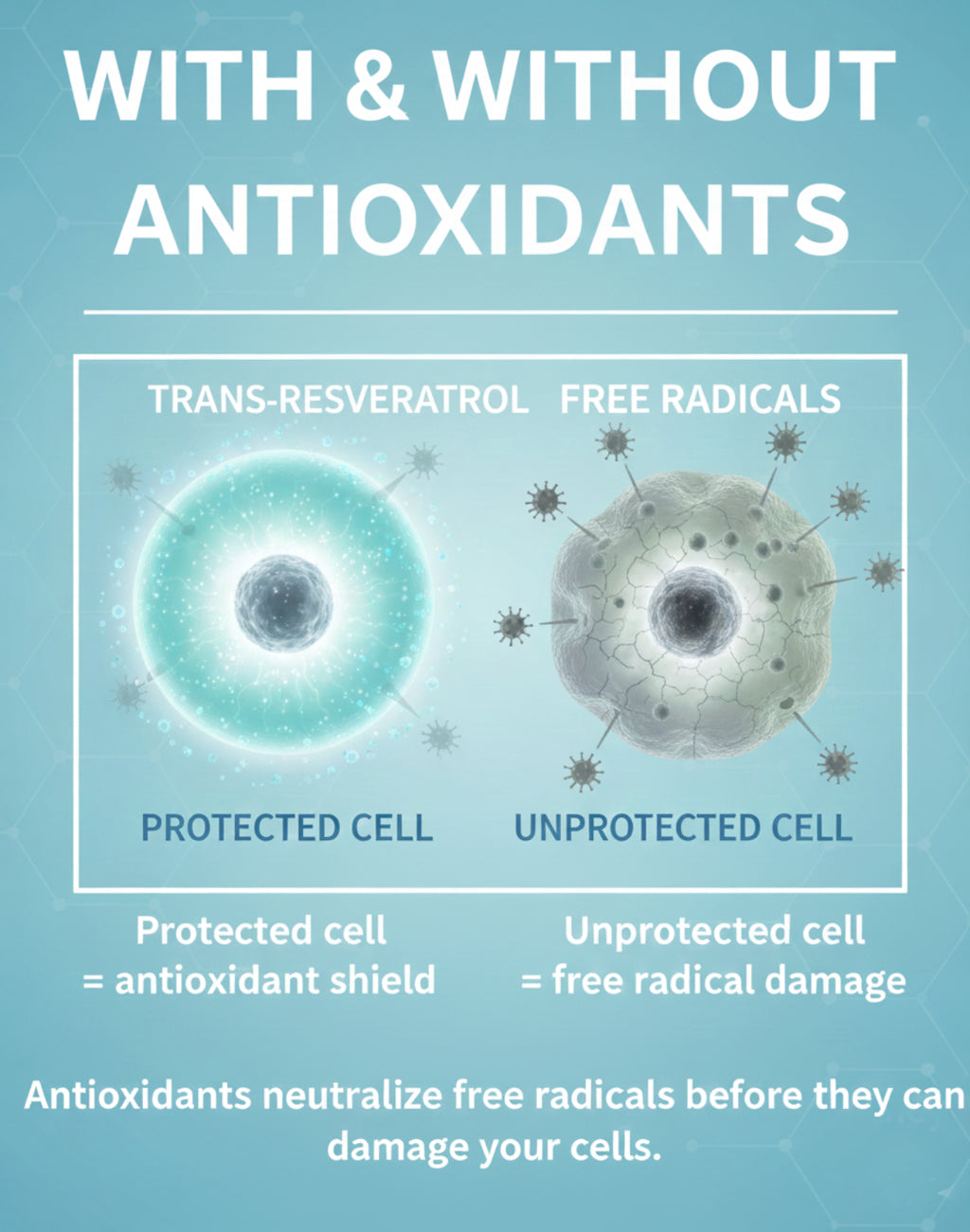 Trans Resveratrol Supplement with Quercetin Antioxidant