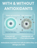 Trans Resveratrol Supplement with Quercetin Antioxidant
